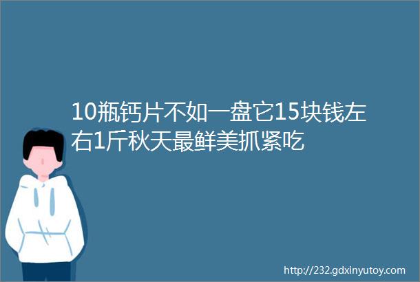 10瓶钙片不如一盘它15块钱左右1斤秋天最鲜美抓紧吃